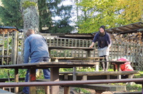 Poslední běh 2019