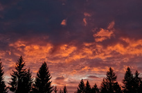 IMG_20200131_164908