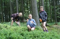 IMG_0281