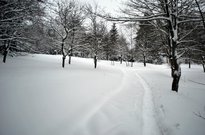 Pololetky_2010_019.jpg