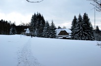 Pololetky_2010_029.jpg