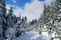 Pololetky_2010_046.jpg