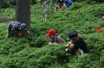 IMG_0226
