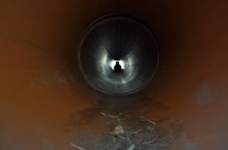 1beh_02den_10_13.jpg