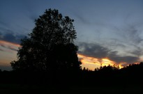 1beh_02den_10_30.jpg