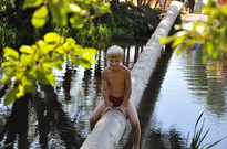 DSC_8688.jpg