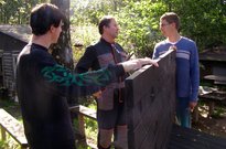 1_zarijovka_2010_06.jpg