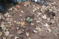 Pozdimky2010-PA_23.jpg