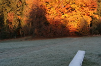 Podzimní listí 2010 - středa