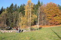 Pozdimky2010-ST_04.jpg