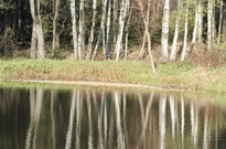 Pozdimky2010-ST_28.jpg