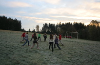 Podzimní listí 2010 - čtvrtek