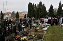 VK3_8749.jpg