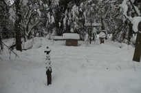DSCN2831.jpg
