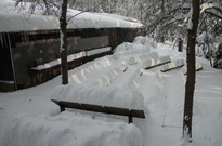 DSCN2842.jpg