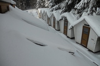 DSCN2866.jpg