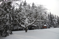 DSCN2902.jpg
