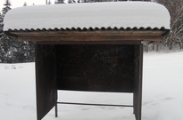 DSCN2917.jpg