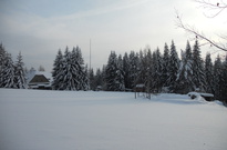 DSCN2925.jpg