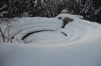 DSCN2934.jpg
