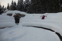 DSCN2949.jpg
