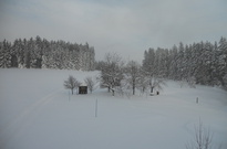 DSCN2978.jpg