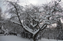 DSCN3067.jpg