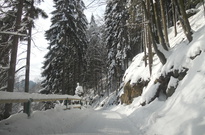 DSCN3072.jpg