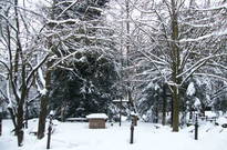 Vanoce2010-ST_02.jpg