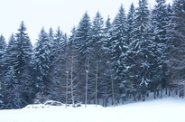 Vanoce2010-ST_21.jpg