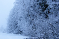 Vanoce2010-ČT_54.jpg