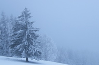 Vanoce2010-ČT_57.jpg
