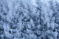 Vanoce2010-ČT_59.jpg