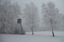 Vanoce2010-ČT_77.jpg