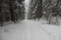 Vanoce2010-ČT_84.jpg