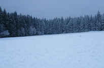 Vánoce 2010 - SO