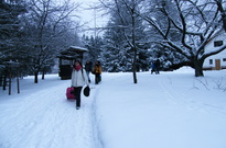 Vanoce2010-NE-15.jpg