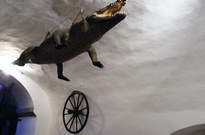 Brněnské spolčo 1.3.2011