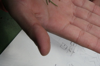 Předjaří2011-NE_007.jpg
