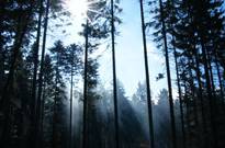 Předjaří2011-PO_004.jpg