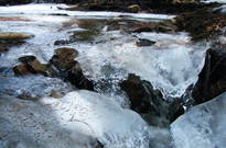 Předjaří2011-PO_008.jpg