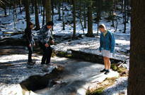 Předjaří2011-PO_009.jpg