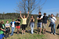 Velik_2011-CT_16.jpg