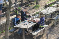 Velik_2011-CT_09.jpg