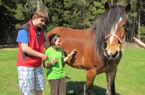 Velik_2011-CT_19.jpg
