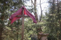 Velik_2011-PA_21.jpg