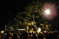 Velik_2011_SO_30.jpg