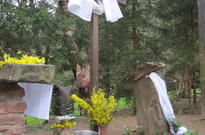 Velik_2011_SO_22.jpg