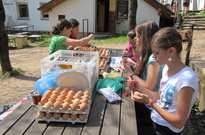 Velik_2011_SO_11.jpg