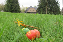 Velik_2011_PO-17.jpg